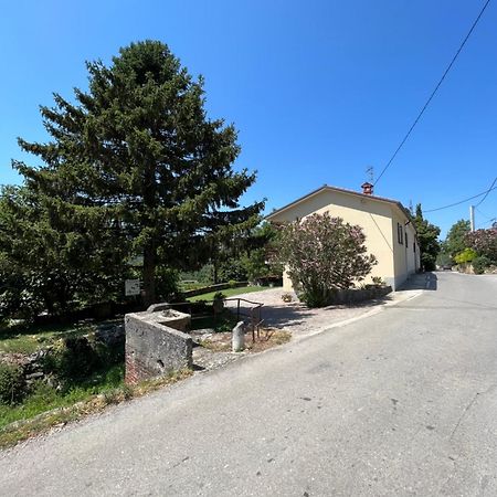 Apartmaji Klabjan - Kaki Osp Exterior foto